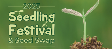 SeedlingFestival2025